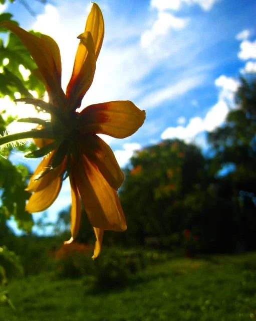 summer-time-