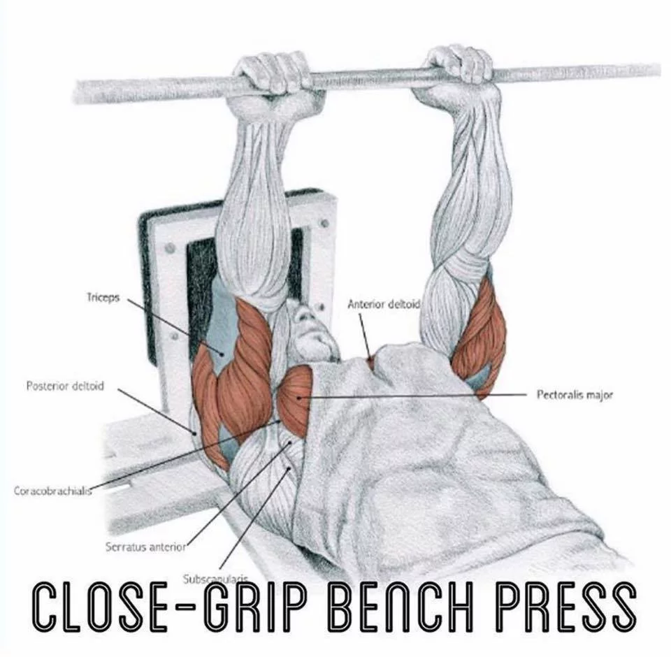 close grip bench press