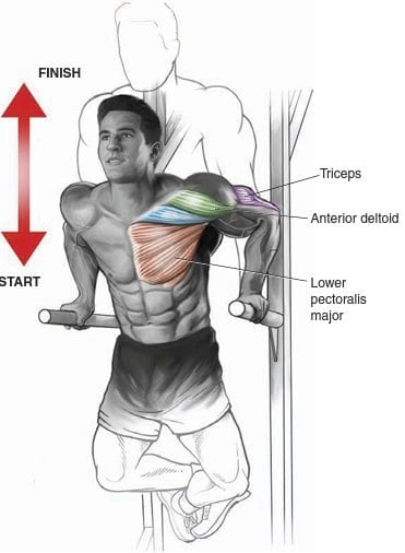 Build Powerful Pecs With These Chest Exercises