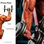 The Best Full Body Dumbbell Workout