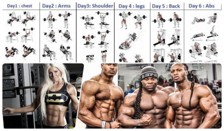 6 day workout routine to build muscle sale