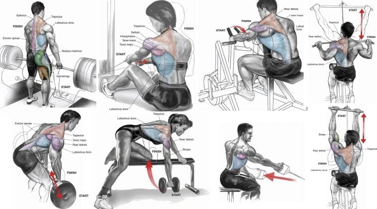The Best Workout For Your Upper Back - VALENTINBOSIOC.COM